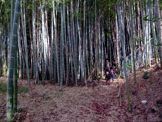 b0127180_11325694.jpg