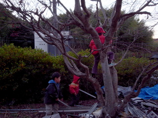 b0127180_11361363.jpg