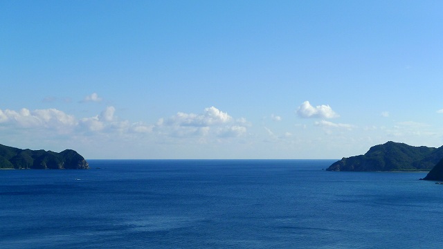 b0115085_14451969.jpg