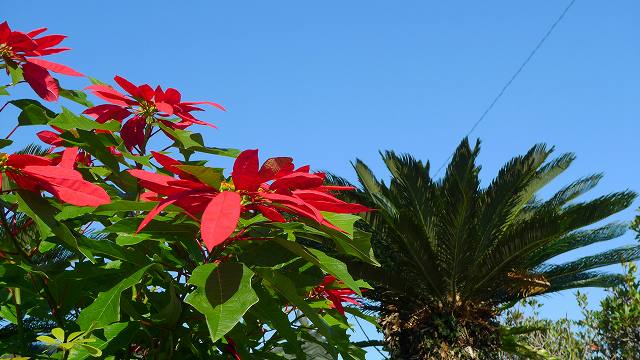 b0115085_14472611.jpg