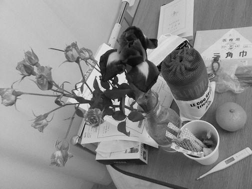 e0061785_2010928.jpg