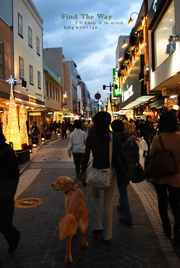 【犬的散歩日和】横浜・元町 〜 また逢いましょう_f0054594_541467.jpg