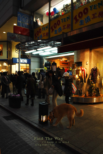 【犬的散歩日和】横浜・元町 〜 また逢いましょう_f0054594_542496.jpg
