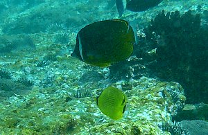 f0079996_17131567.jpg
