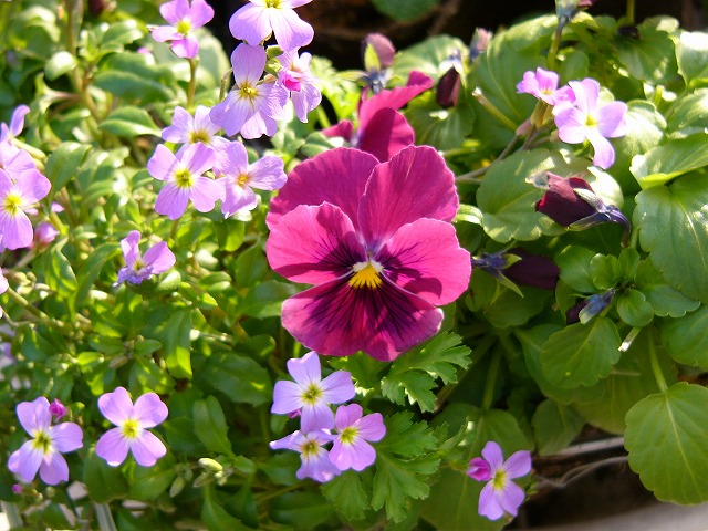 a0123003_19185228.jpg