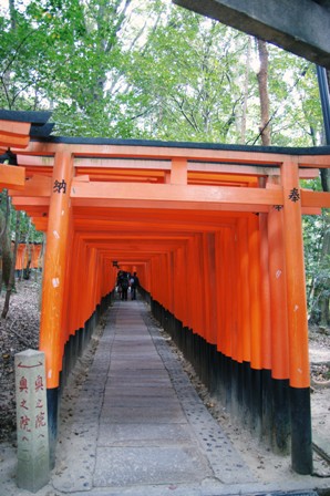 f0036603_16315495.jpg