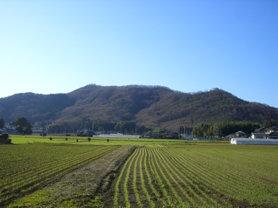 デザイン監修_f0138807_23392483.jpg