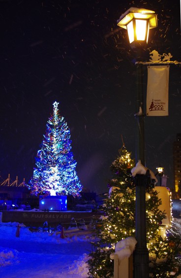 a0146011_16401579.jpg