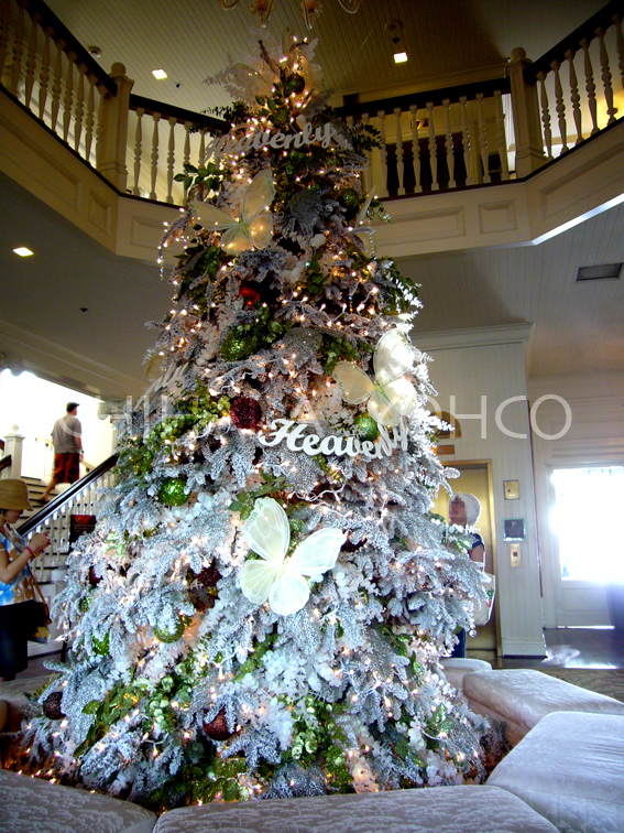 ホノルルマラソン2009 レポート03_b0025511_10405768.jpg