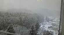 c0147714_11389.jpg