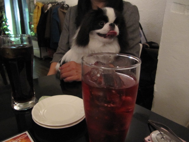 c0200916_2242919.jpg