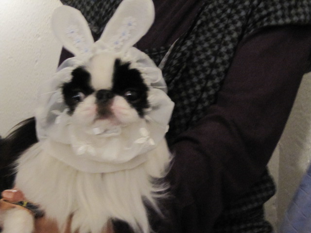 c0200916_2247368.jpg