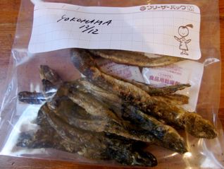 ハゼ焼き干し Of The Year 09 片手にピストル 心に花束 ハゼ焼き干し Of The Year 09 片手にピストル 心に花束