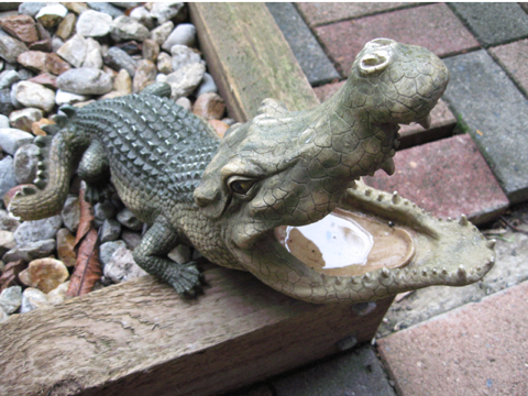 ワニ 多様な古代ワニ：パンケーキクロック | ナショナル ジオグラフィック