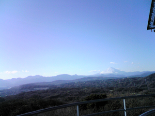 e0038355_08122.jpg