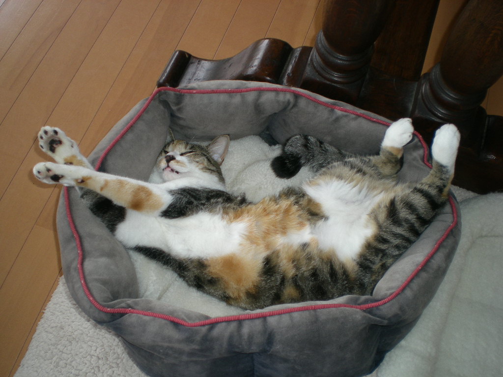 2009年12月22日(火)冬至には・・・_f0060461_1615539.jpg