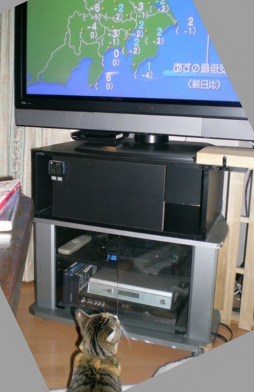 2009年12月22日(火)冬至には・・・_f0060461_1672622.jpg