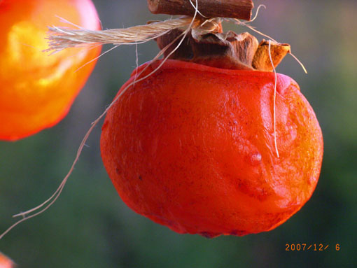 b0075364_9572533.jpg