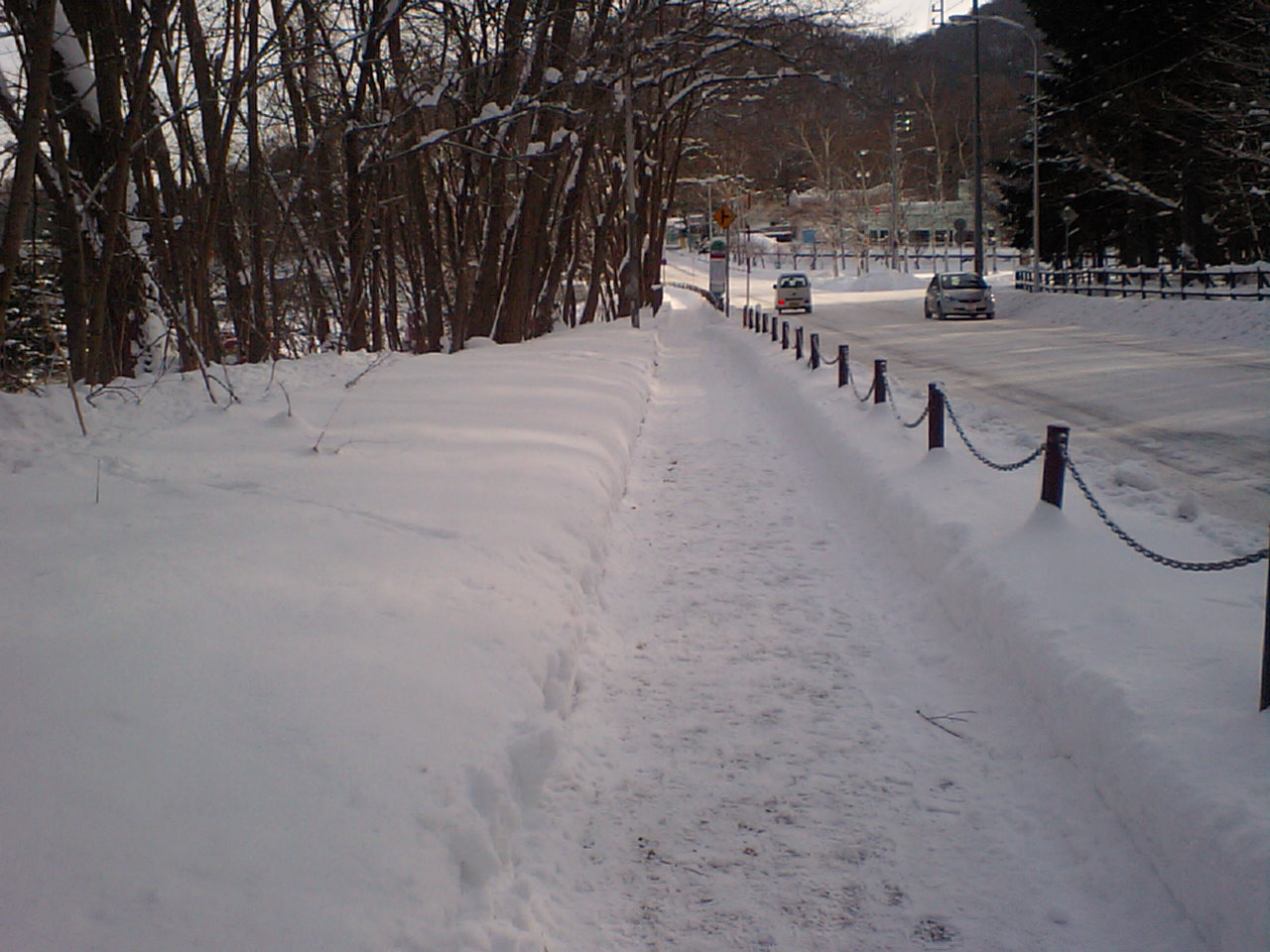 雪の円山周辺_d0098665_18263817.jpg