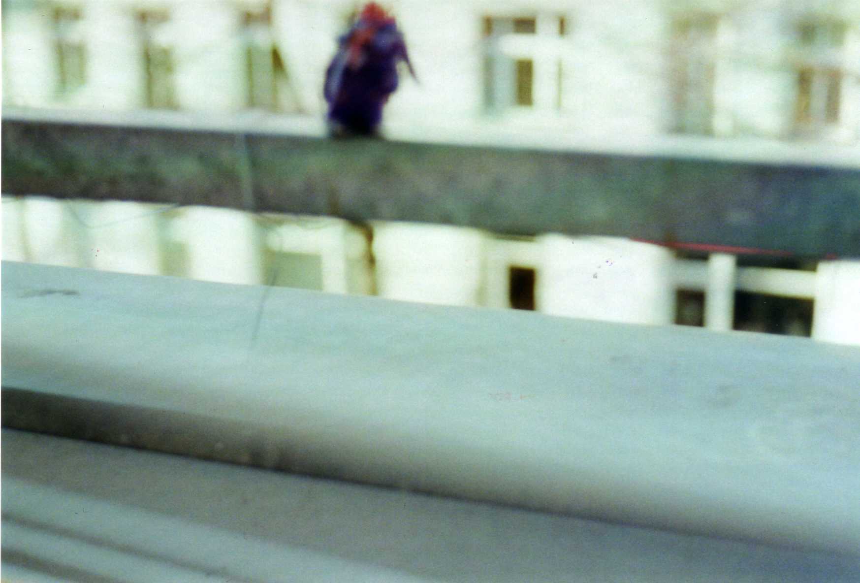 d0084677_8445280.jpg