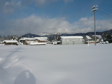 b0141878_17595447.jpg