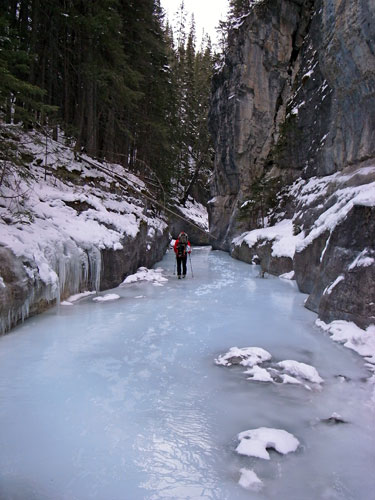 b0110880_1991020.jpg