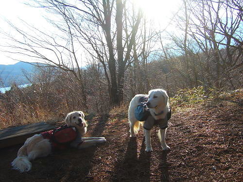 石割山～大平山（その２）12月21日（月）_b0136381_221006.jpg