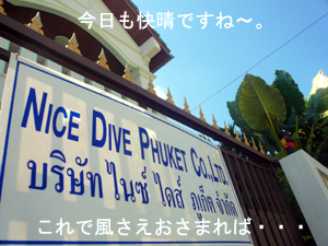 本日のナイスダイブ!_f0144385_15161889.jpg