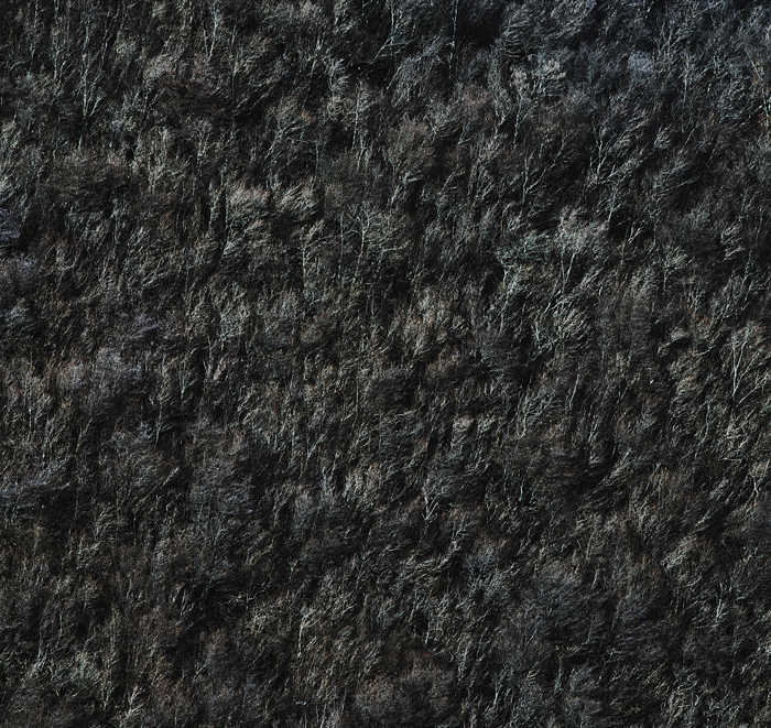 a0141586_75768.jpg