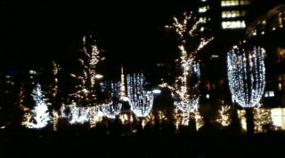 東京でキラキラ忘年会_e0127286_09768.jpg
