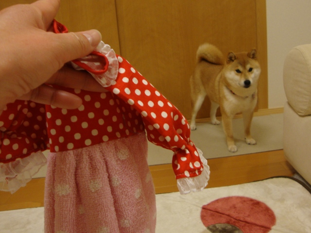 ハンドメイド_a0126590_5302664.jpg