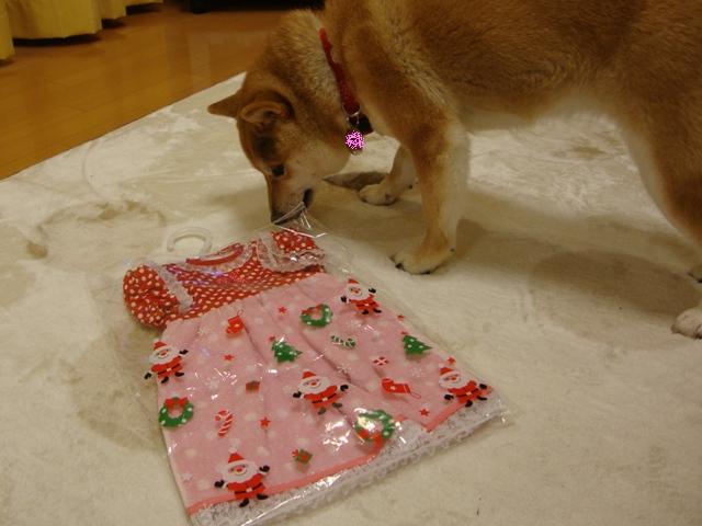 ハンドメイド_a0126590_530699.jpg