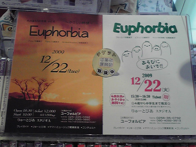 今週はいろいろあります!いよいよ年末大詰め!_e0046190_915238.jpg