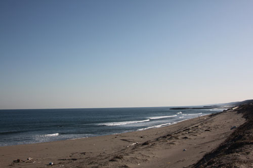 d0142191_23203117.jpg