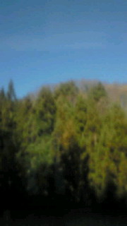 e0161791_97275.jpg