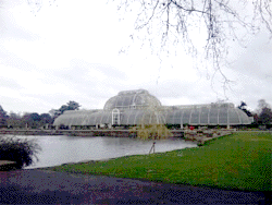 c0220592_1055641.gif