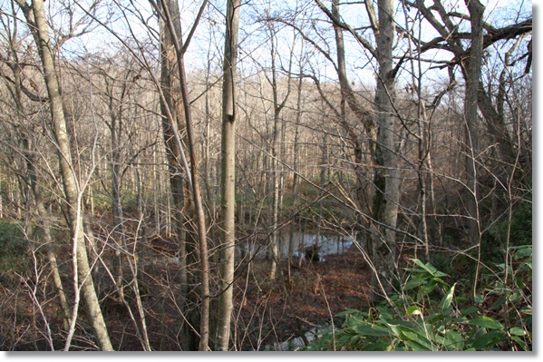 f0146493_06390.jpg