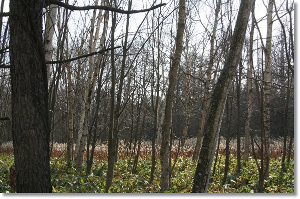 f0146493_08370.jpg