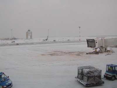 f0021504_1753254.jpg
