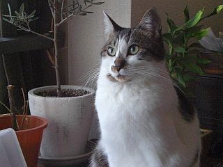 d0131207_1213318.jpg