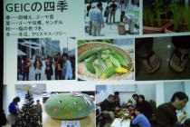 f0006713_751781.jpg