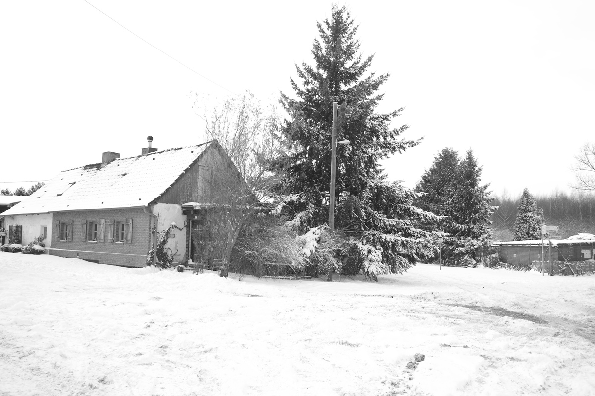 b0148617_02512.jpg