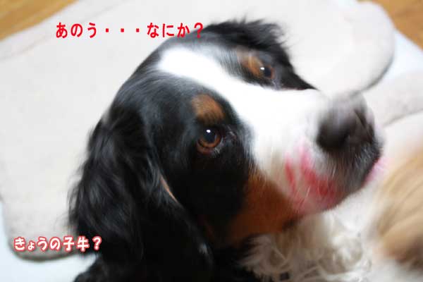 f0203423_13401162.jpg