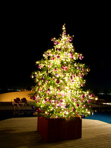 「福岡 ザ・ルイガンズのクリスマス」_a0000029_2291877.jpg