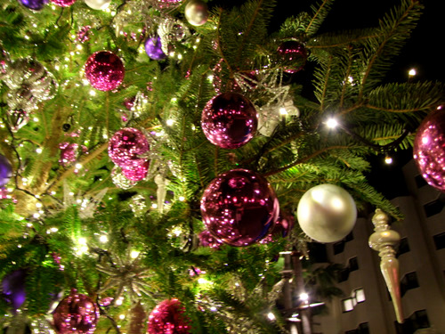 「福岡　ザ・ルイガンズのクリスマス」_a0000029_2321660.jpg