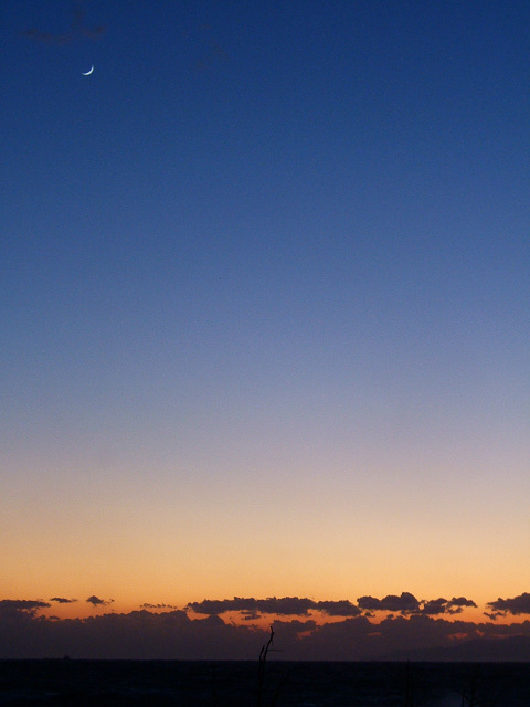 e0089232_1254436.jpg
