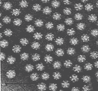 c0113733_203670.gif