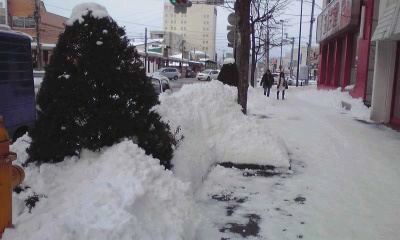 c0179647_1446553.jpg
