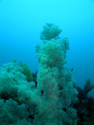 d0058549_18291686.jpg