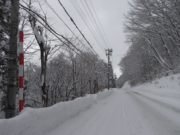 雪道_c0009461_18101382.jpg